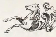 ANIMAL_0161
